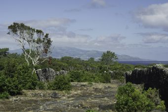Cart track during hike between Lajido and Santa Luzia_Pico - 20190624.jpg