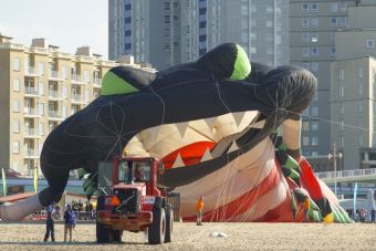 Giant kite_resized.jpg